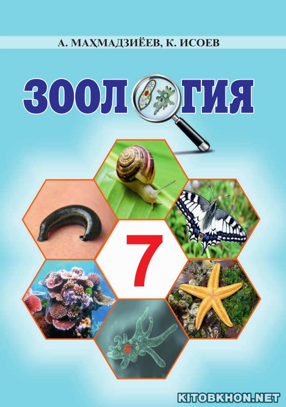 Зоология. Синфи 7